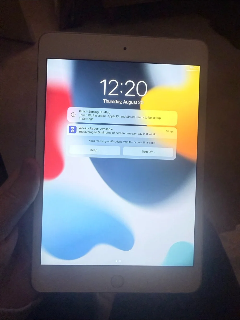 Apple iPad Mini in White with Silver Accents